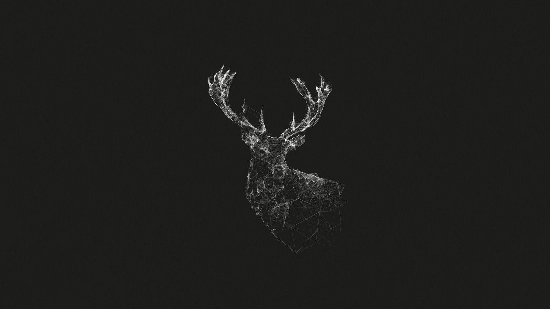 1920x1080 Mule Deer Wallpaper Group 1920x1080