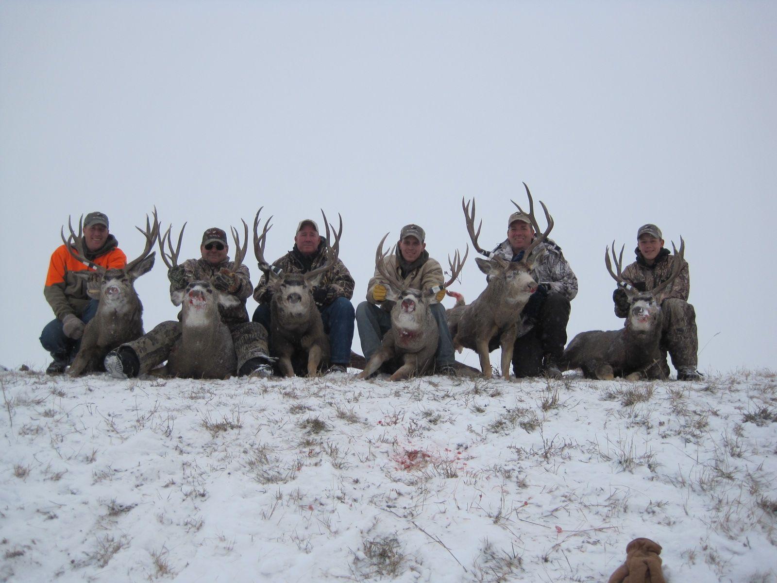 1600x1200 Mule Deer Hill Outfitters