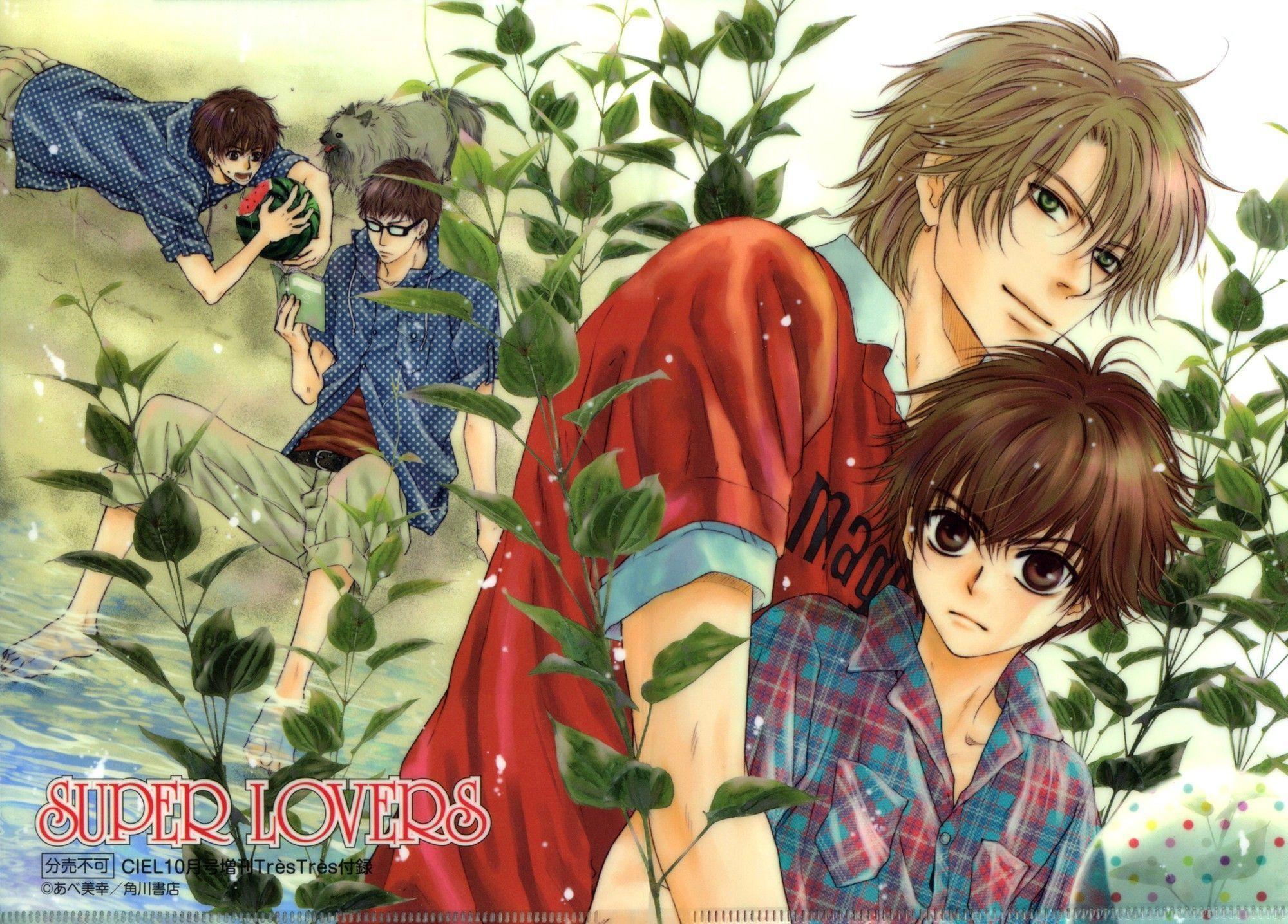 Super Lovers Wallpapers Top Free Super Lovers Backgrounds Wallpaperaccess