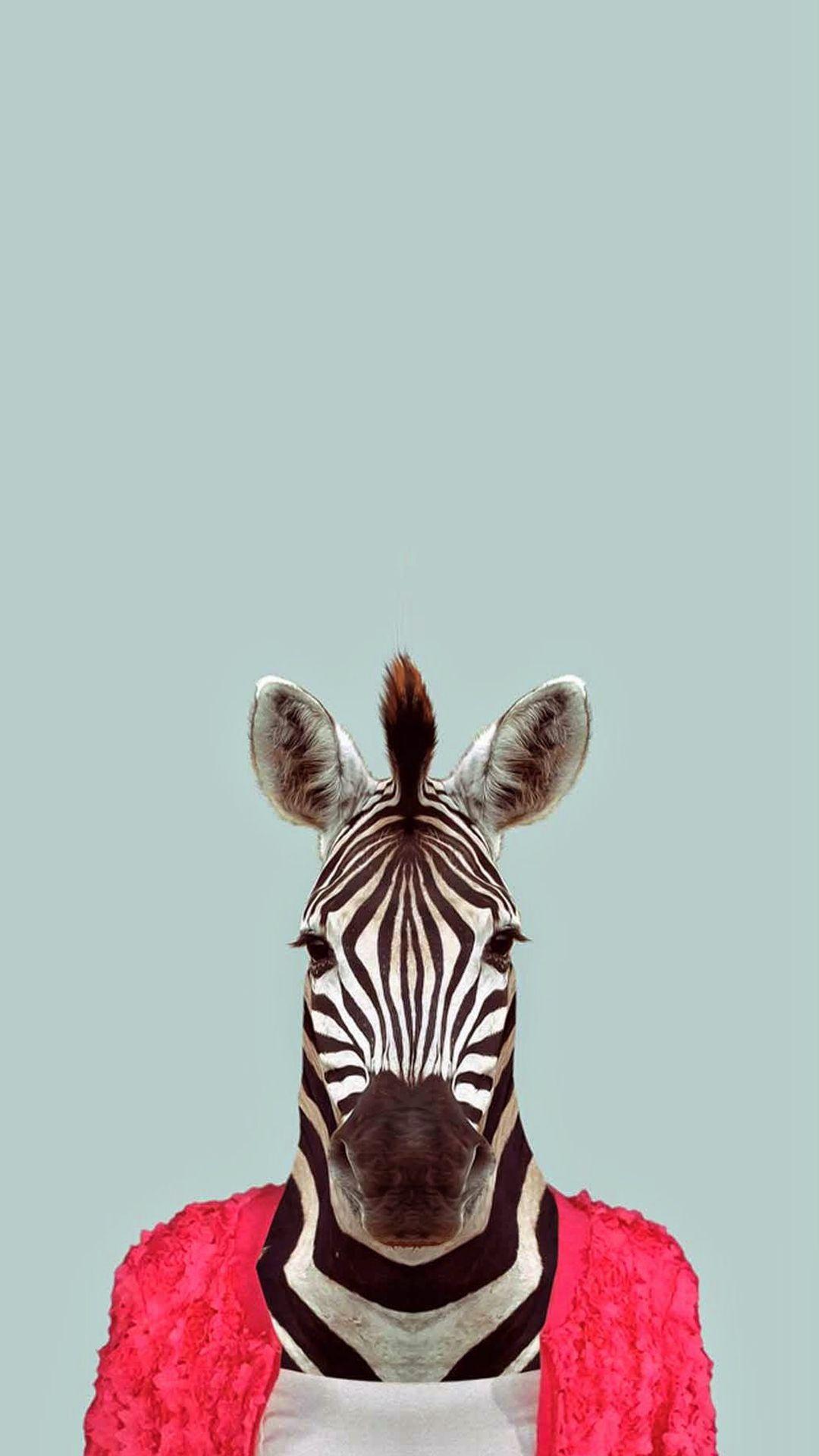 1080x1920 Zebra Funny Animal Portrait IPhone 6 Wallpaper Download. IPhone Wallpaper, IPad Wallpaper One Stop Down. Funny Iphone Wallpaper, Pet Portraits, Apple Wallpaper