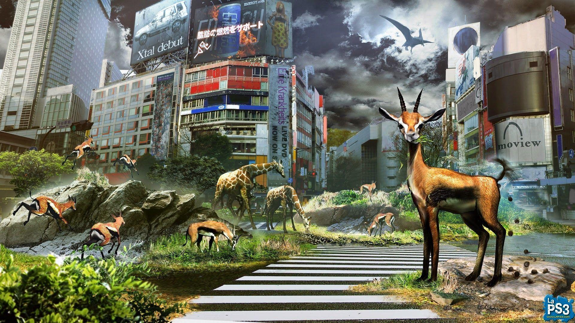 1920x1080 Tokyo Jungle RP+