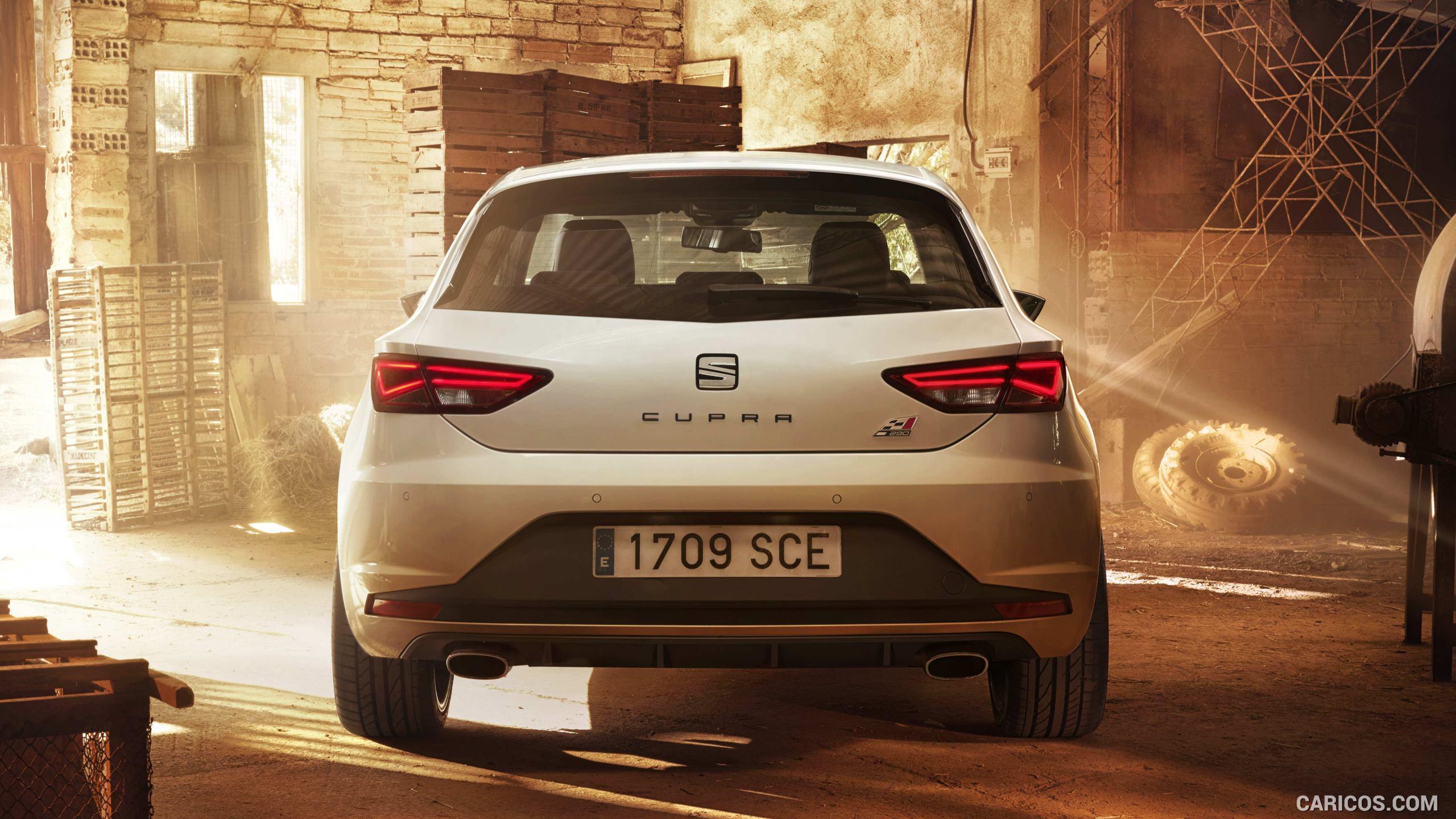2560x1440 SEAT Leon CUPRA 290. HD Wallpaper