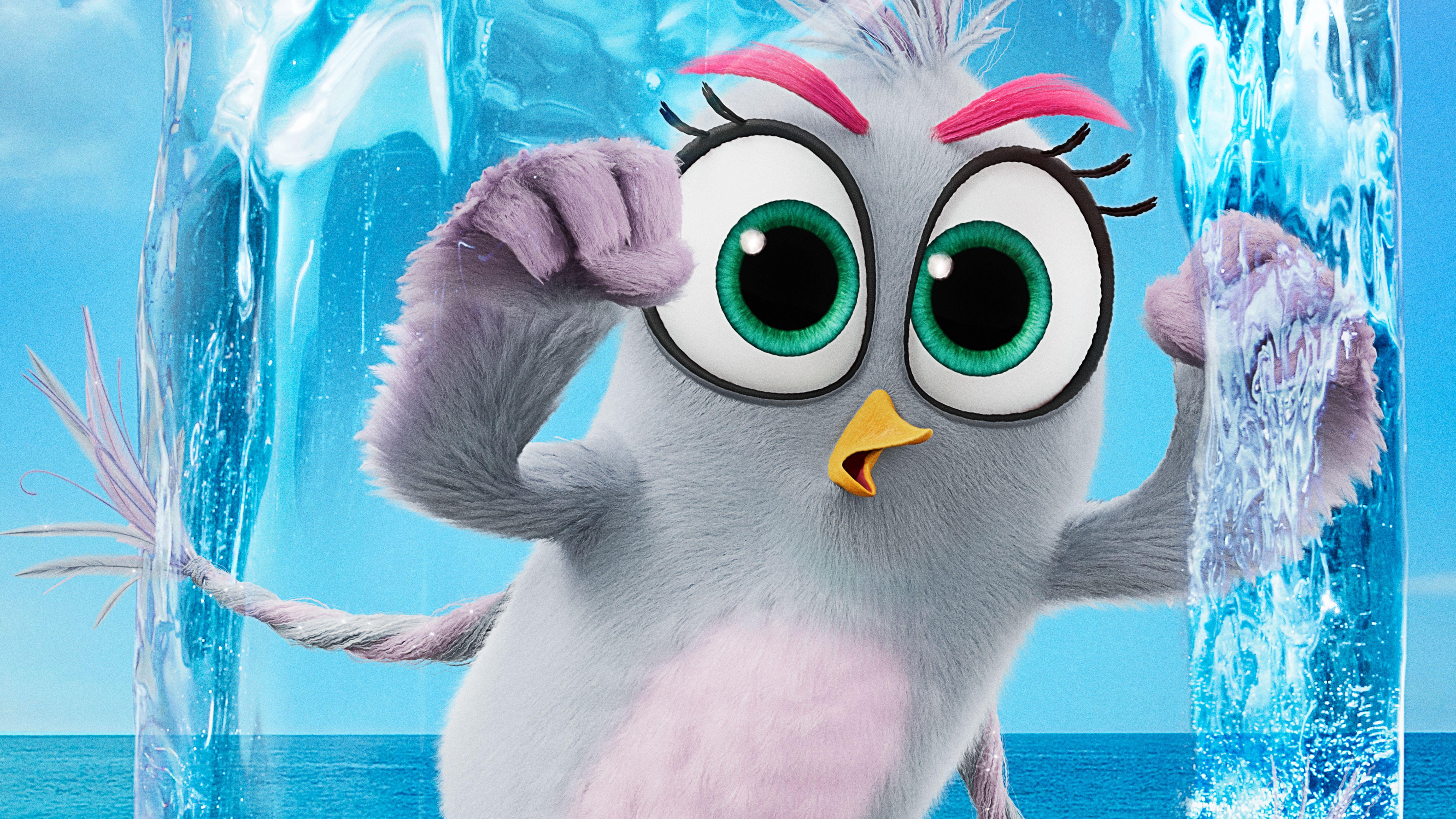 6072x3416 The Angry Birds Movie 2 2019 5k Wallpaper and Background Image