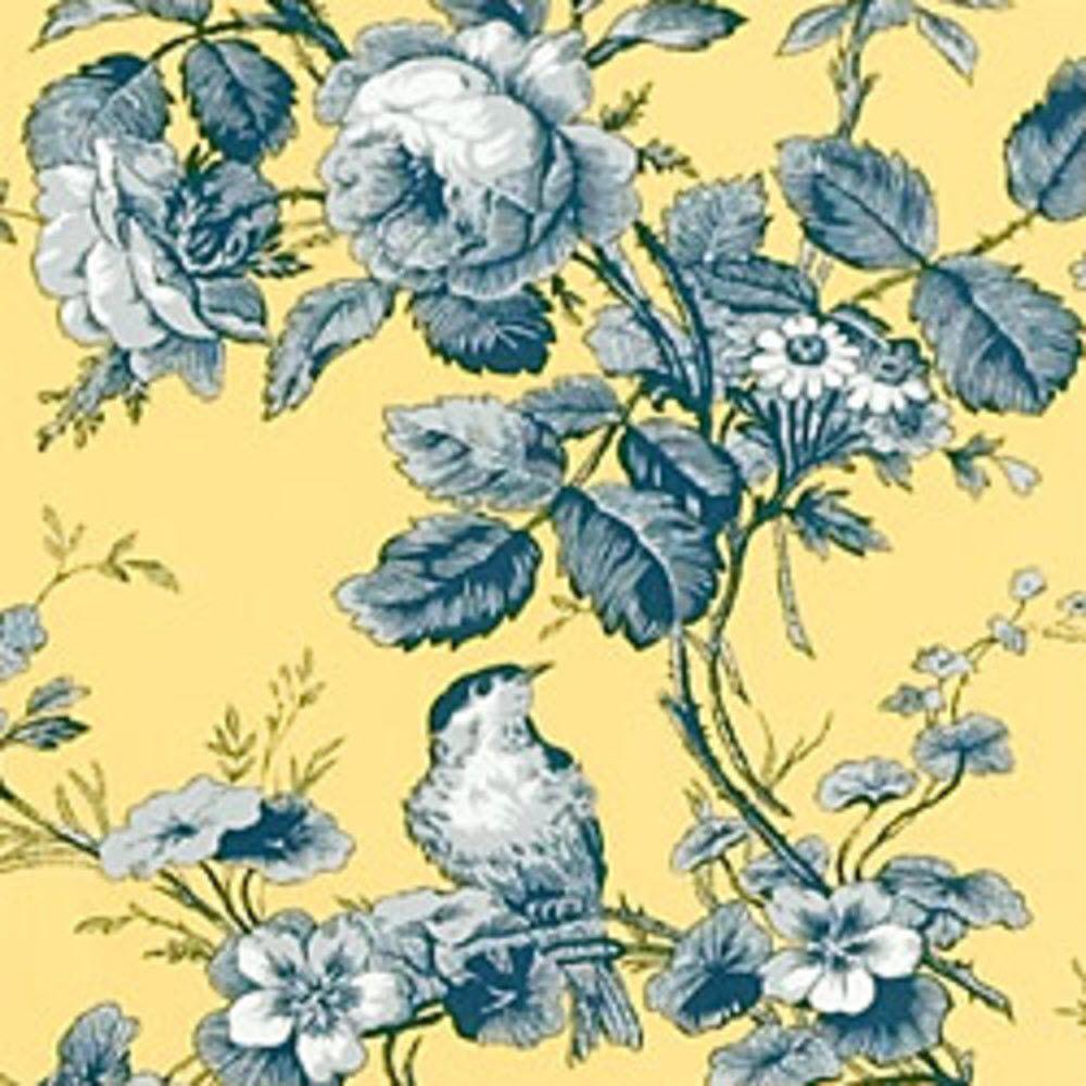 Isabelle Wallpapers - Top Free Isabelle Backgrounds - WallpaperAccess