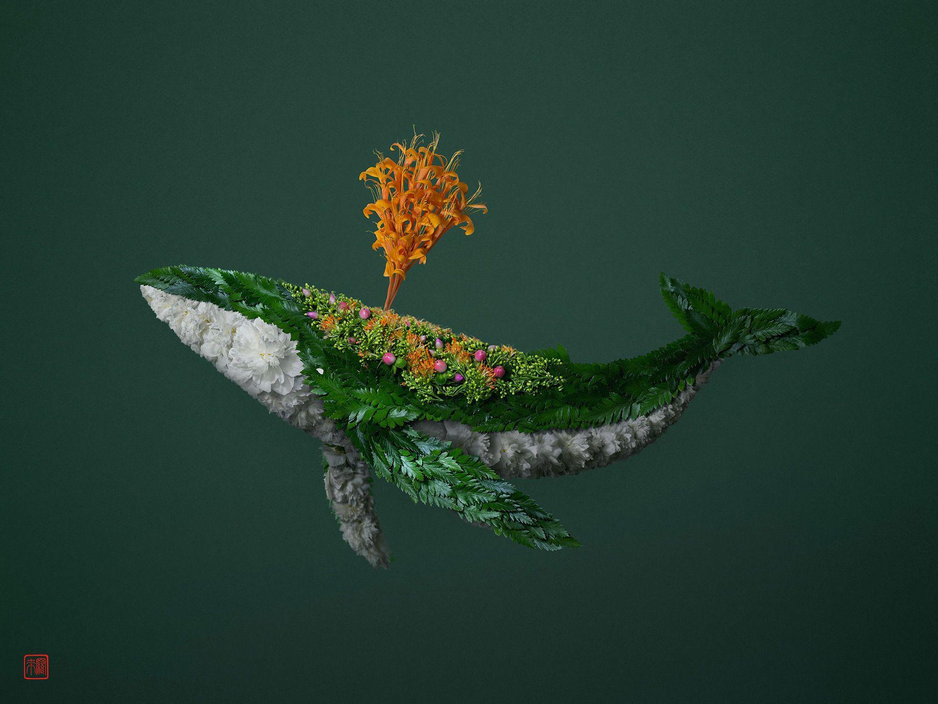 1920x1440 Floral And Frond Compositions Shape Energetic Wildlife By Raku Inoue