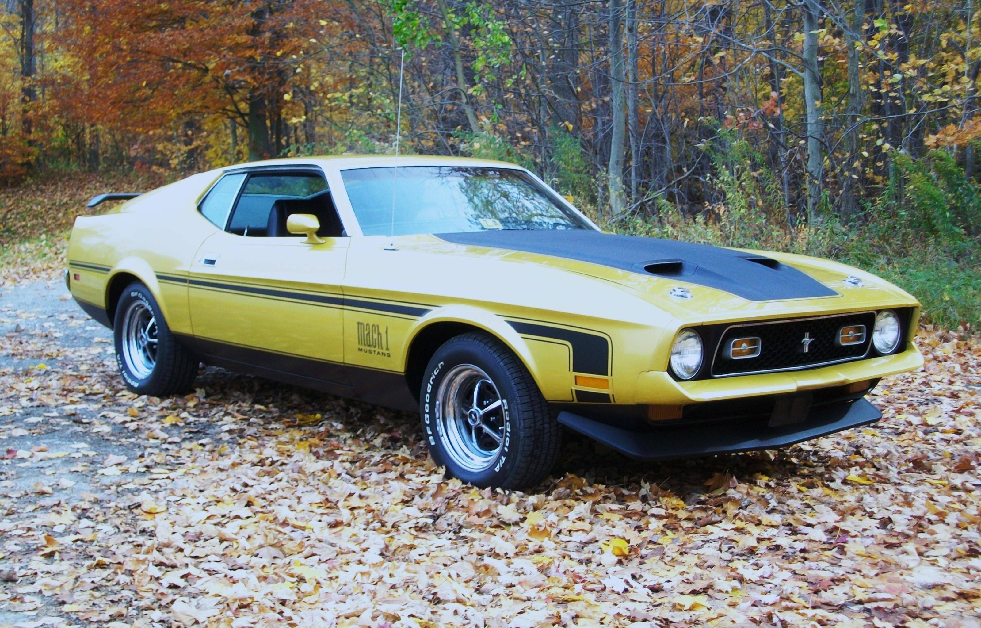 3200x2048 Ford Mustang Mach 1 wallpaper HD for desktop background