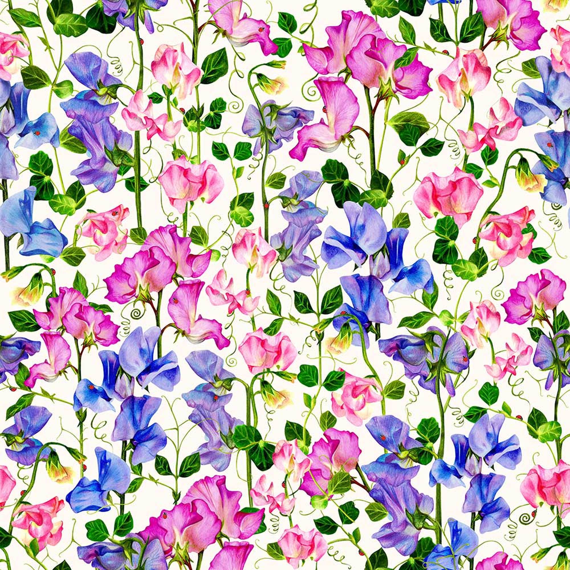 Sweet Pea Wallpapers - Top Free Sweet Pea Backgrounds - WallpaperAccess