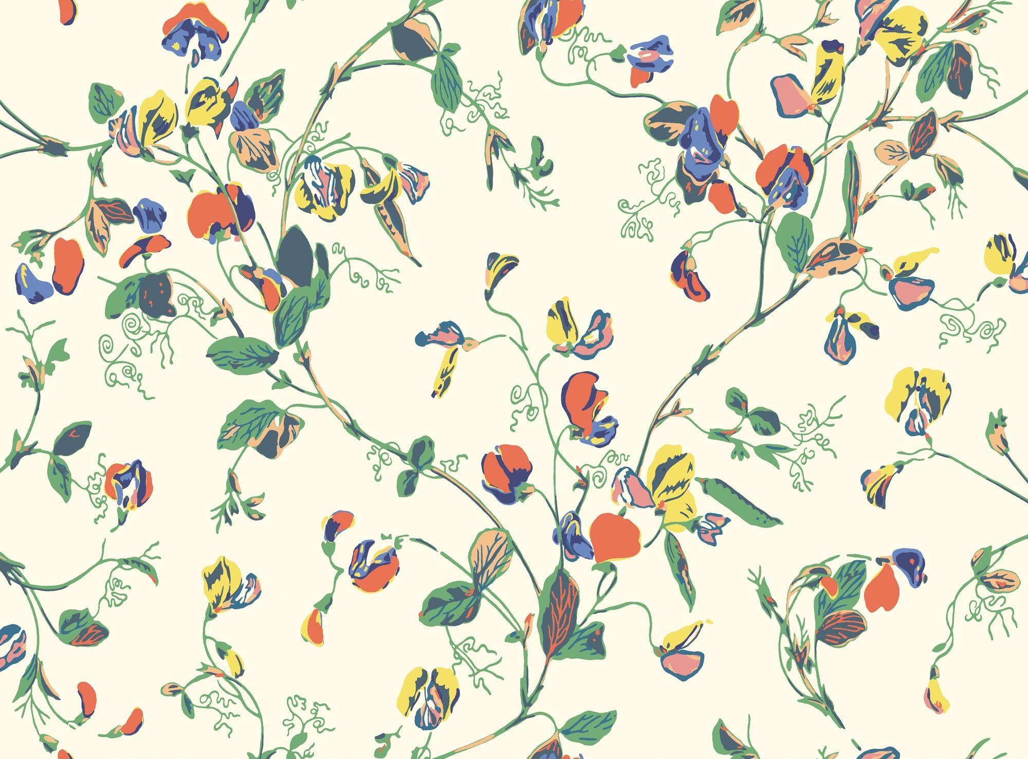 2000x1476 Cole & Son Sweet Pea 115 11032 Wallpaper. Autumnal Multi On Cream