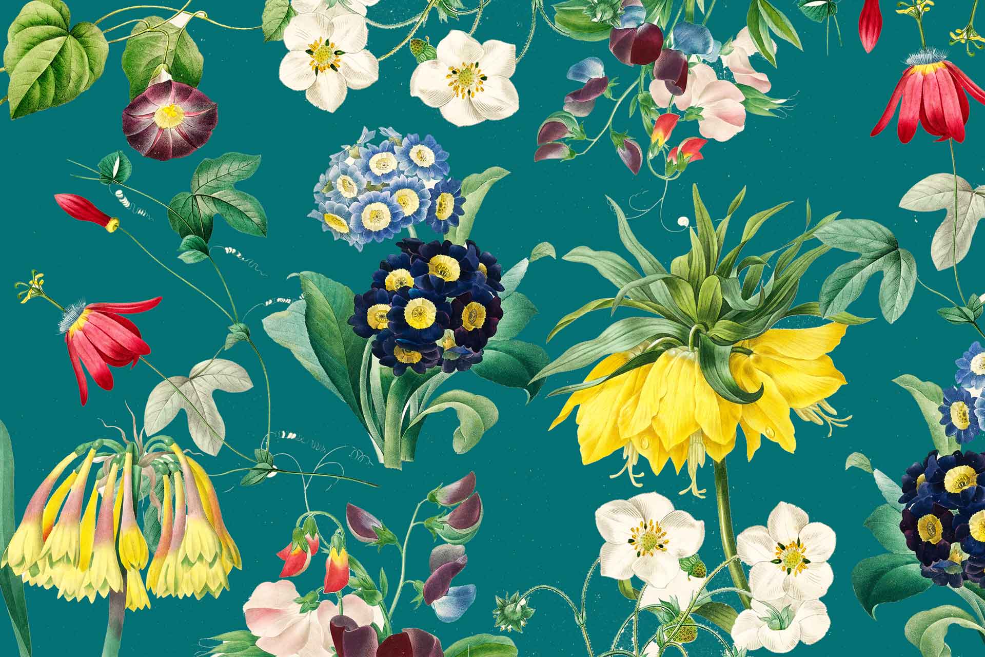 1920x1280 Sweet Pea and Me. Cara Saven Wall Design