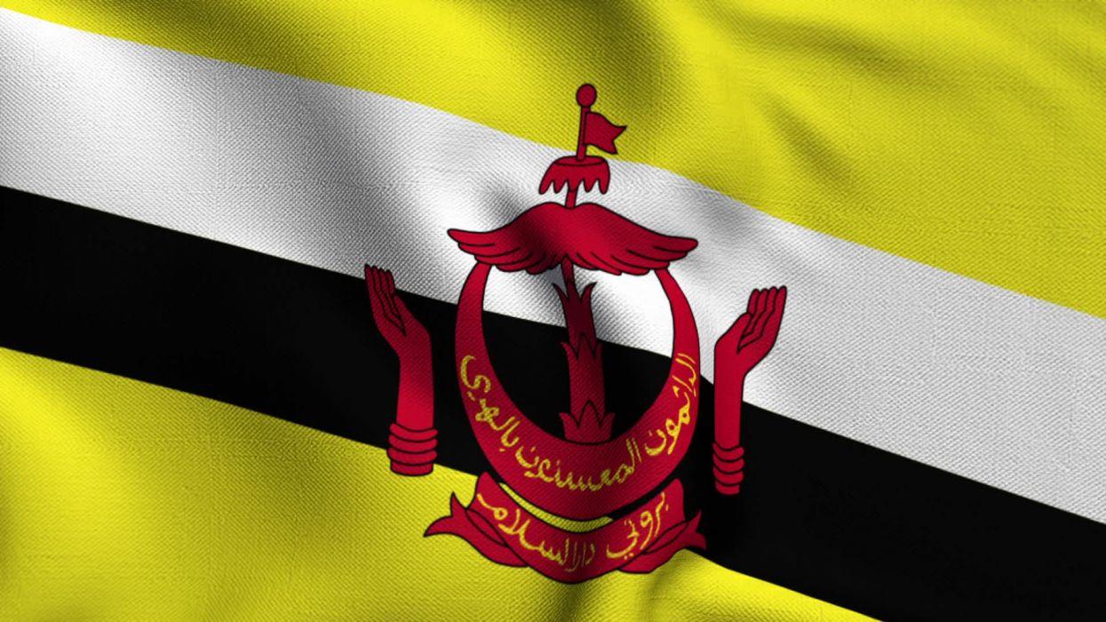 1245x700 Brunei bandera asia wallpaperx1080