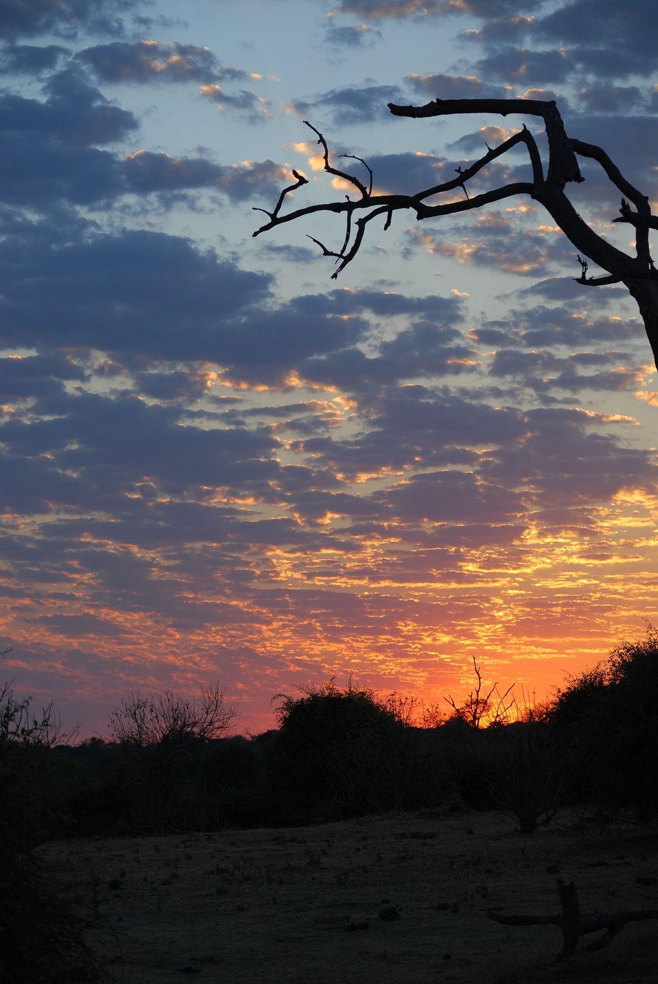 1285x1920 sunrise Botswana South Africa. African travel, Victoria falls, Best sunset