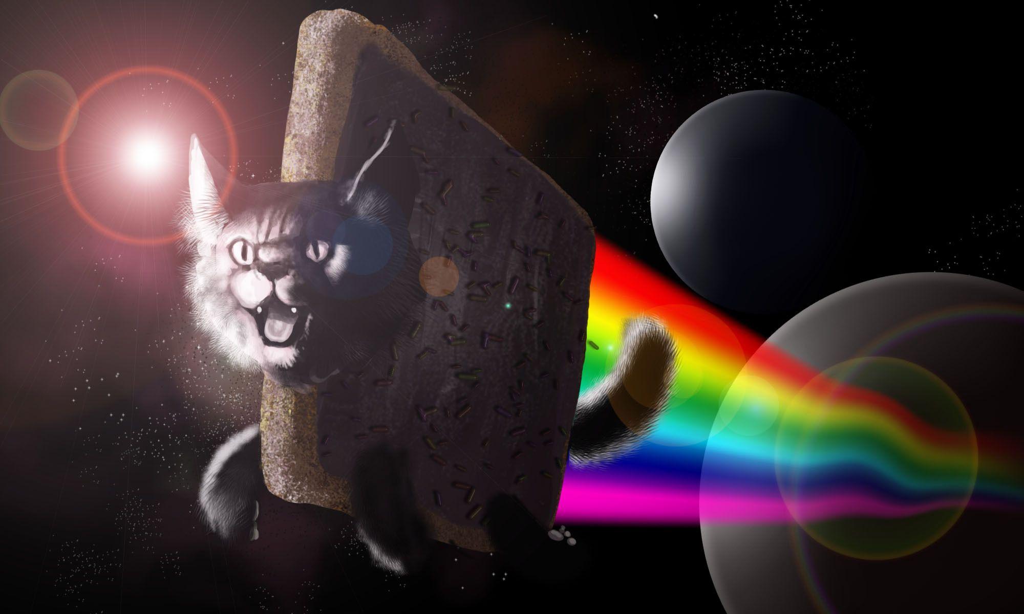 2000x1200 Coolcat Wallpaper. Coolcat Wallpaper