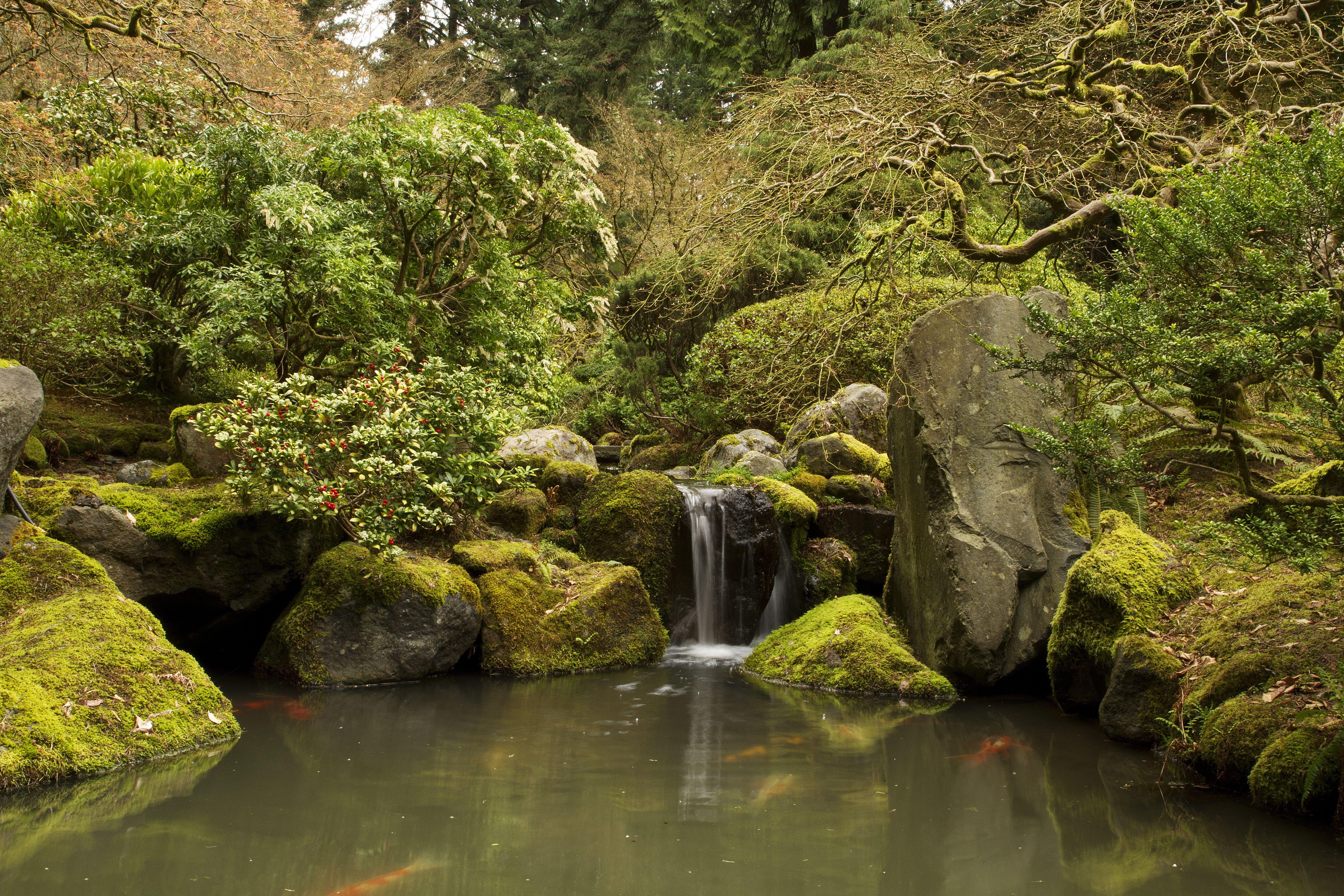 Japanese Water Garden Wallpapers - Top Free Japanese Water Garden