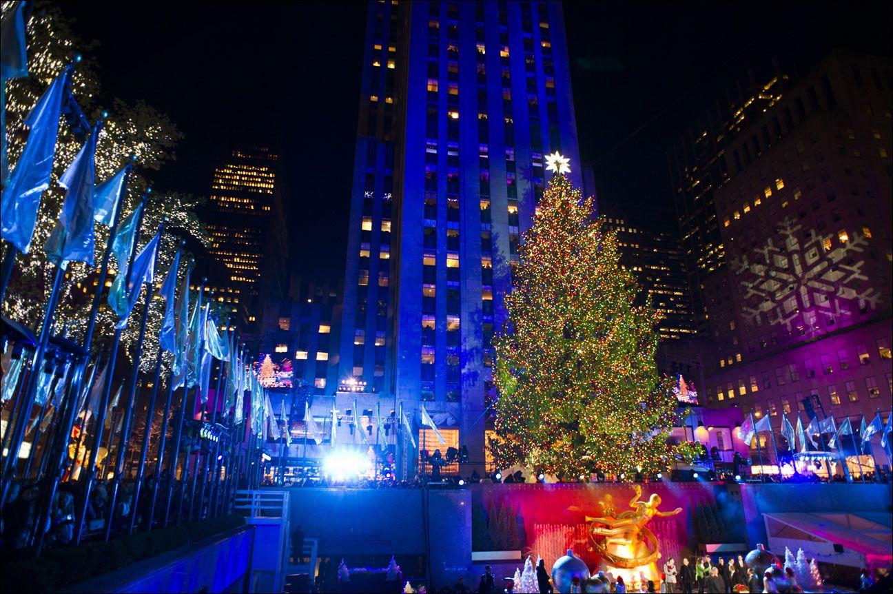 1296x862 Christmas tree recycling 'easier than ever'