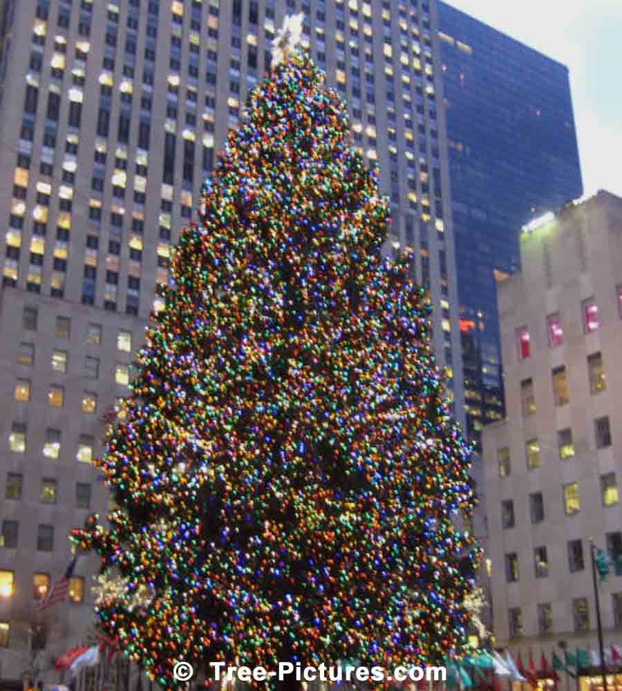 Times Square Christmas Wallpapers - Top Free Times Square Christmas ...