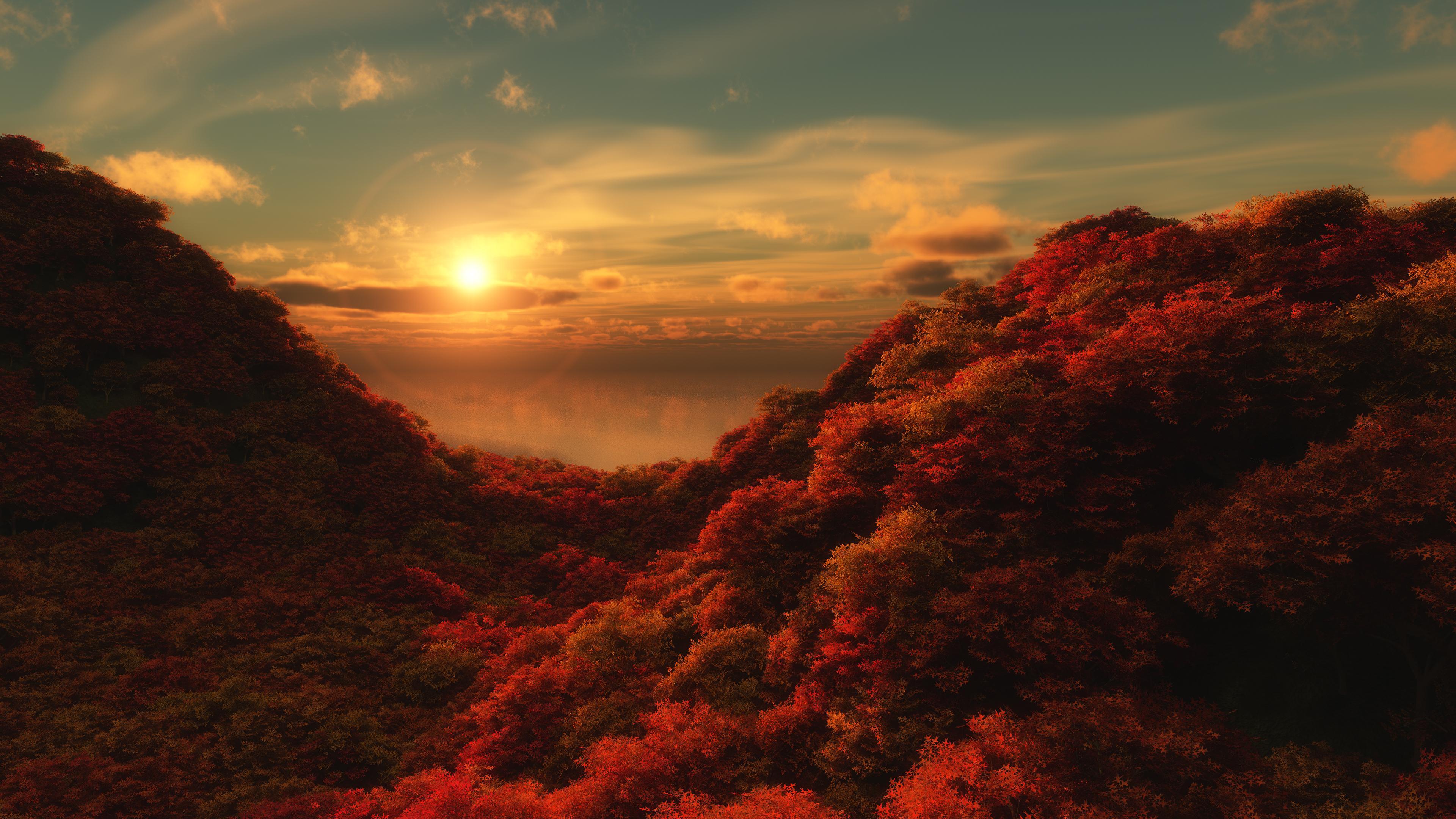 3840x2160 Sun shining on the red forest HD desktop wallpaper : Widescreen : High Definition