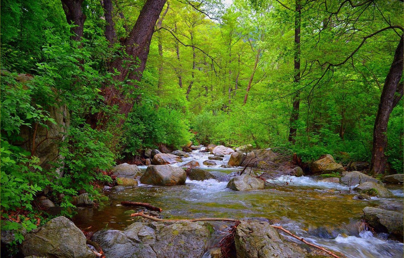 Spring Forest Landscape Wallpapers - Top Free Spring Forest Landscape ...