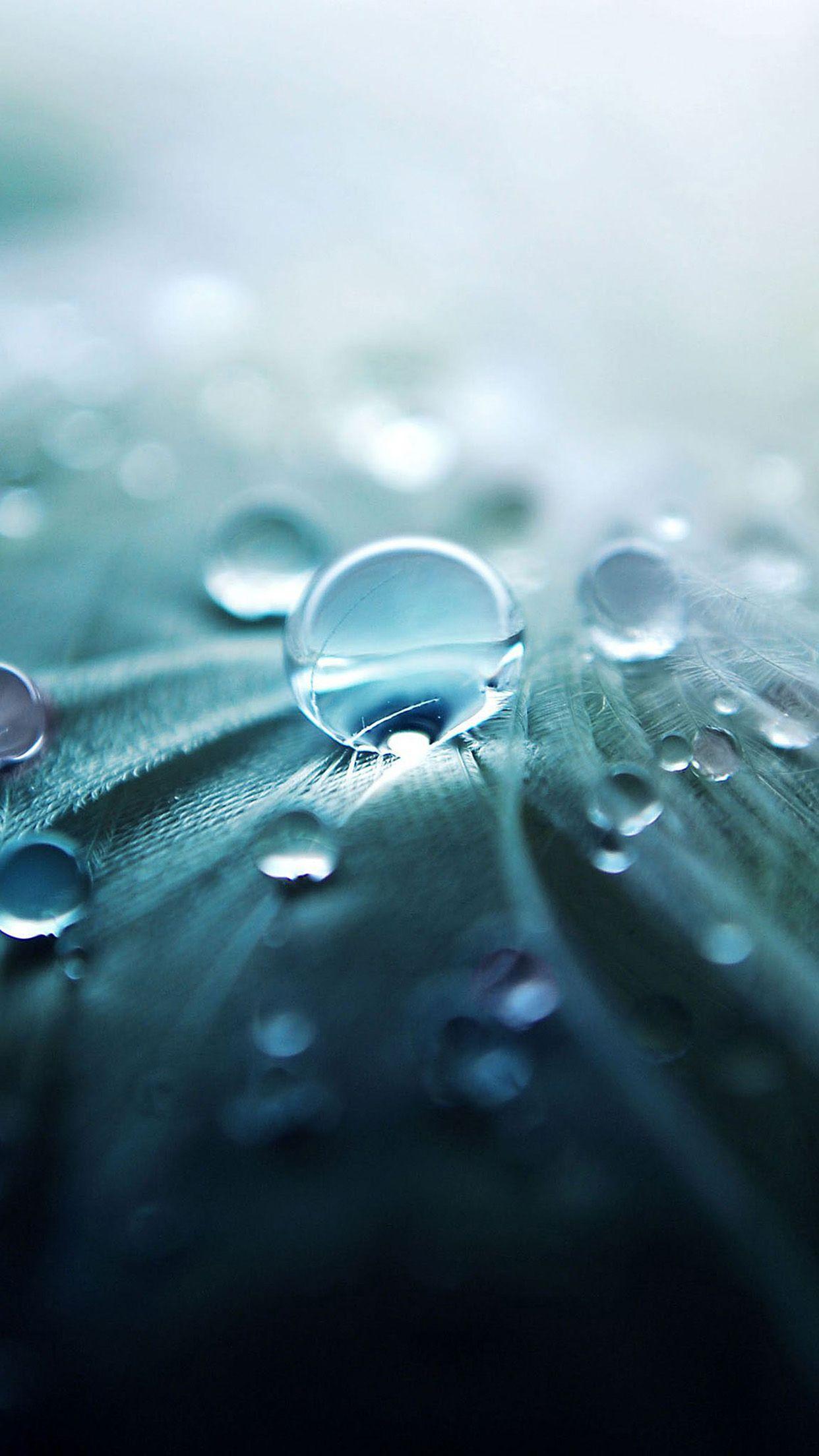 Dew Drop Wallpapers - Top Free Dew Drop Backgrounds - WallpaperAccess