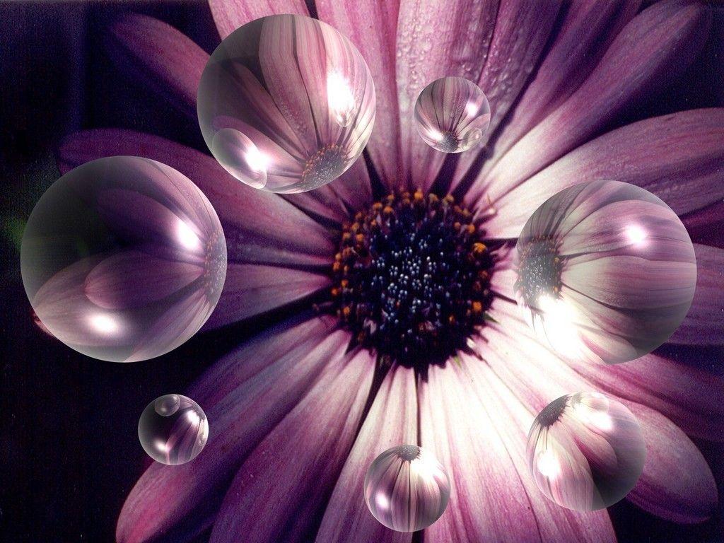 1024x768 Hd Wallpaper Flowers Wallpaper Flowers HD Wallpaper