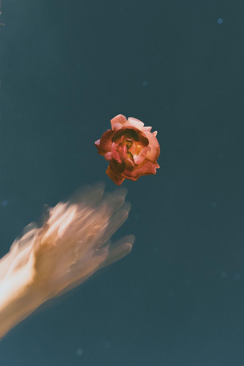 1000x1495 Floating Flowers Picture. Download Free Image
