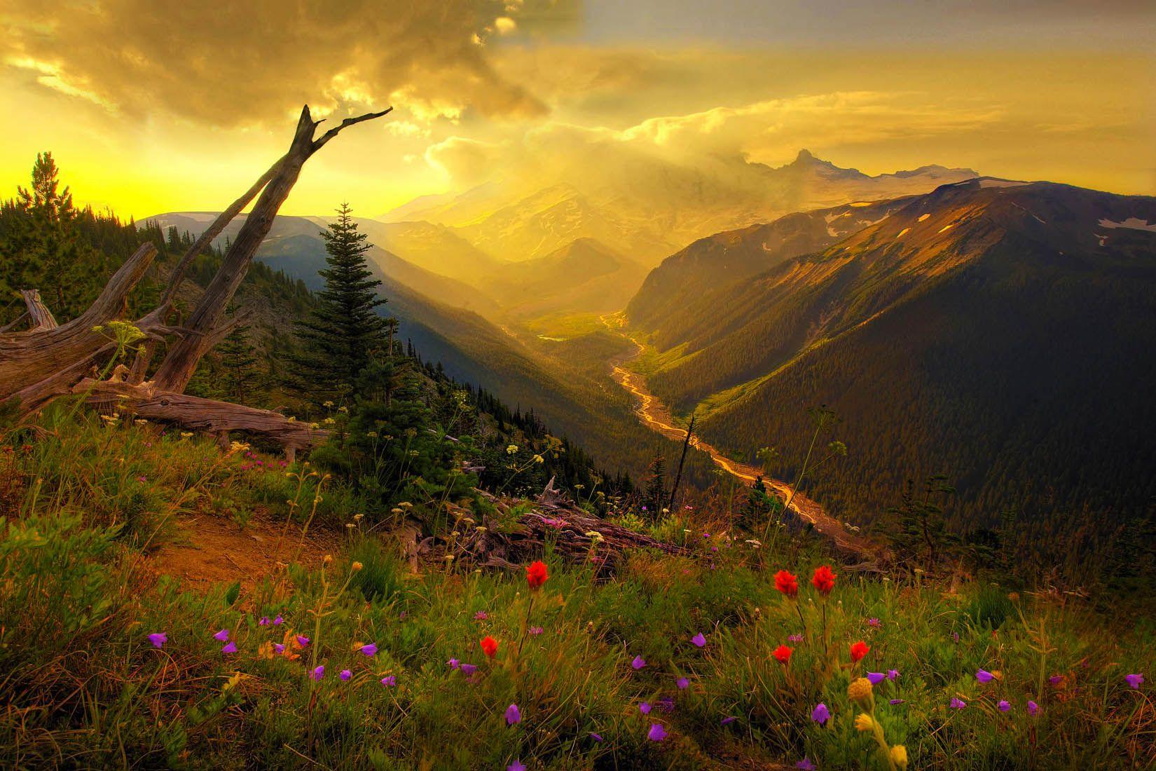 1650x1100 Pacific Northwest Desktop Background