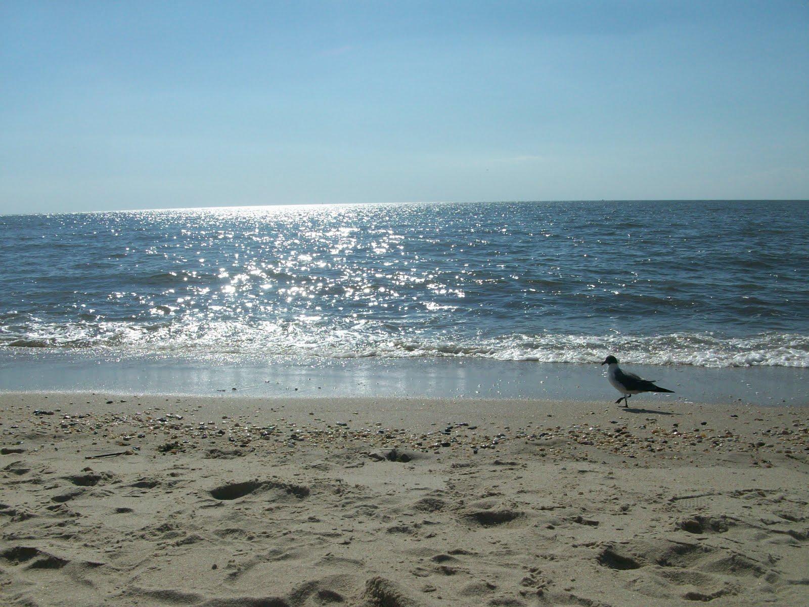 1600x1200 New Jersey Beach Wallpaper