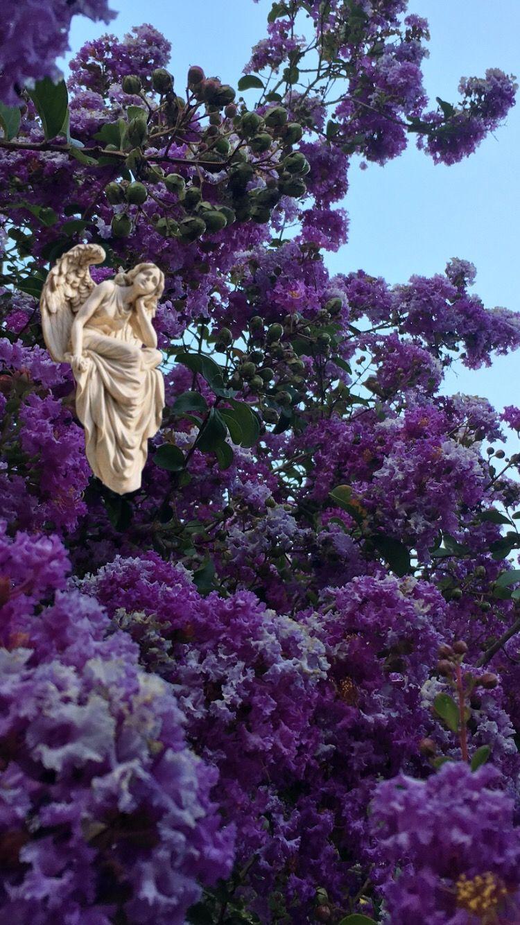 750x1334 wallpaper. Statue wallpaper, Greek statue wallpaper, Greek statues
