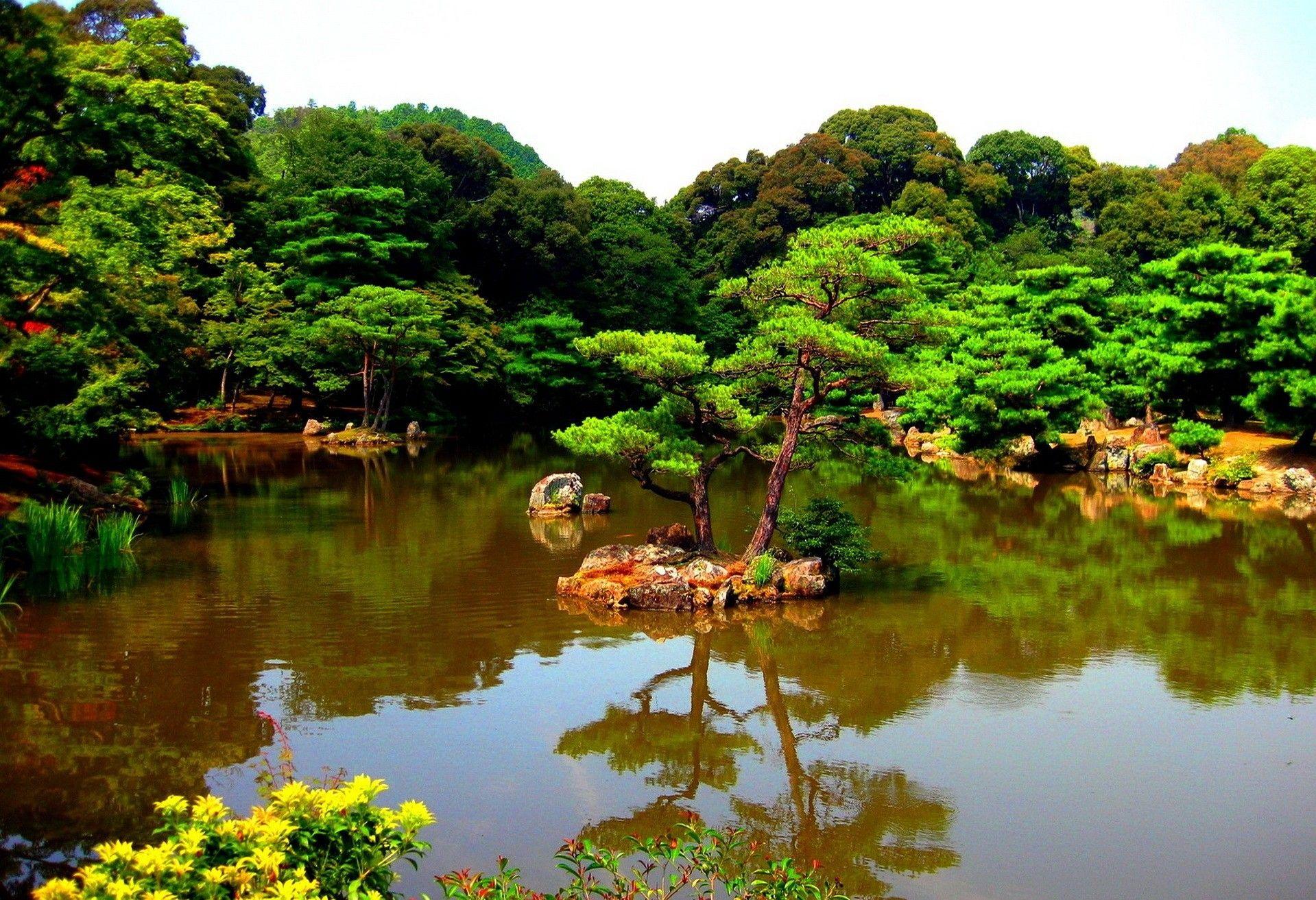 Japanese Water Garden Wallpapers - Top Free Japanese Water Garden