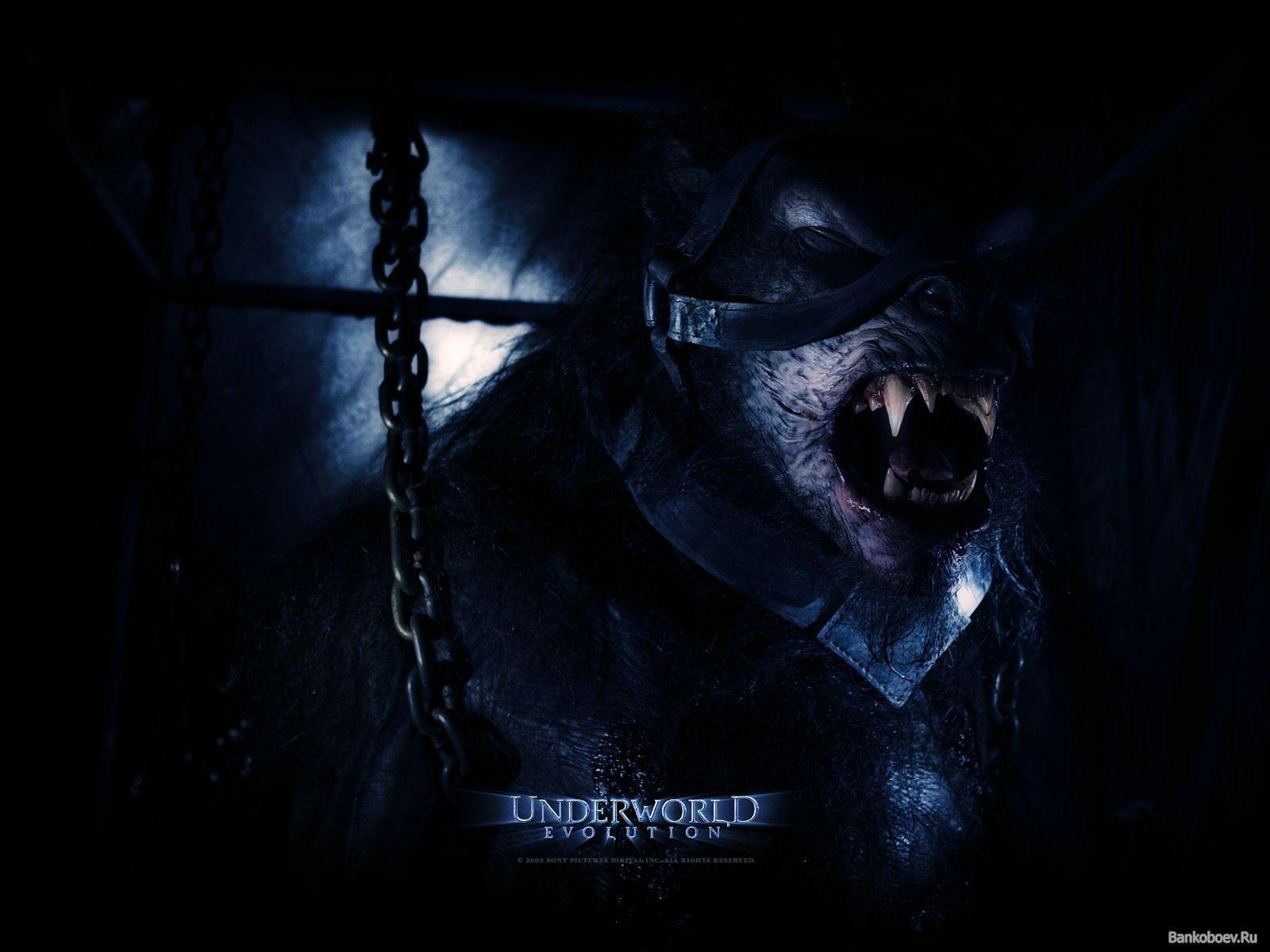 1600x1200 Underworld Werewolf Wallpaper