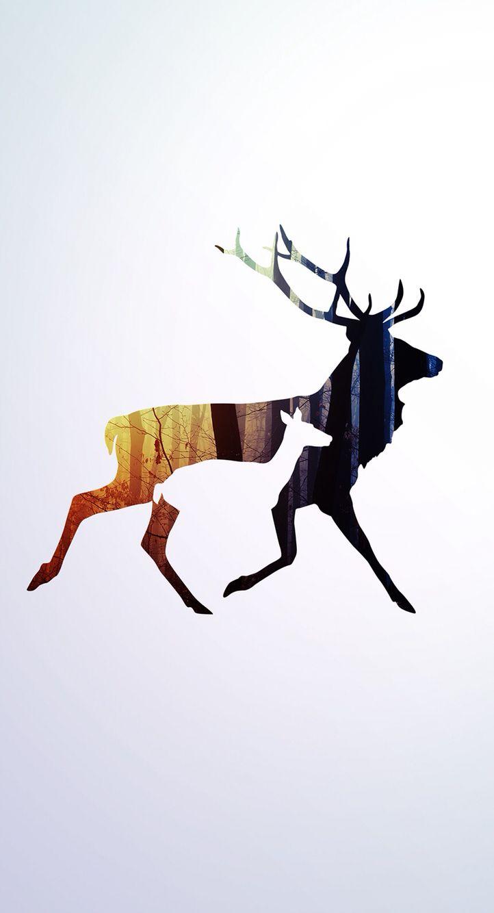 722x1334 Deer iPhone wallpaper. Deer wallpaper, Hunting wallpaper, Moose picture
