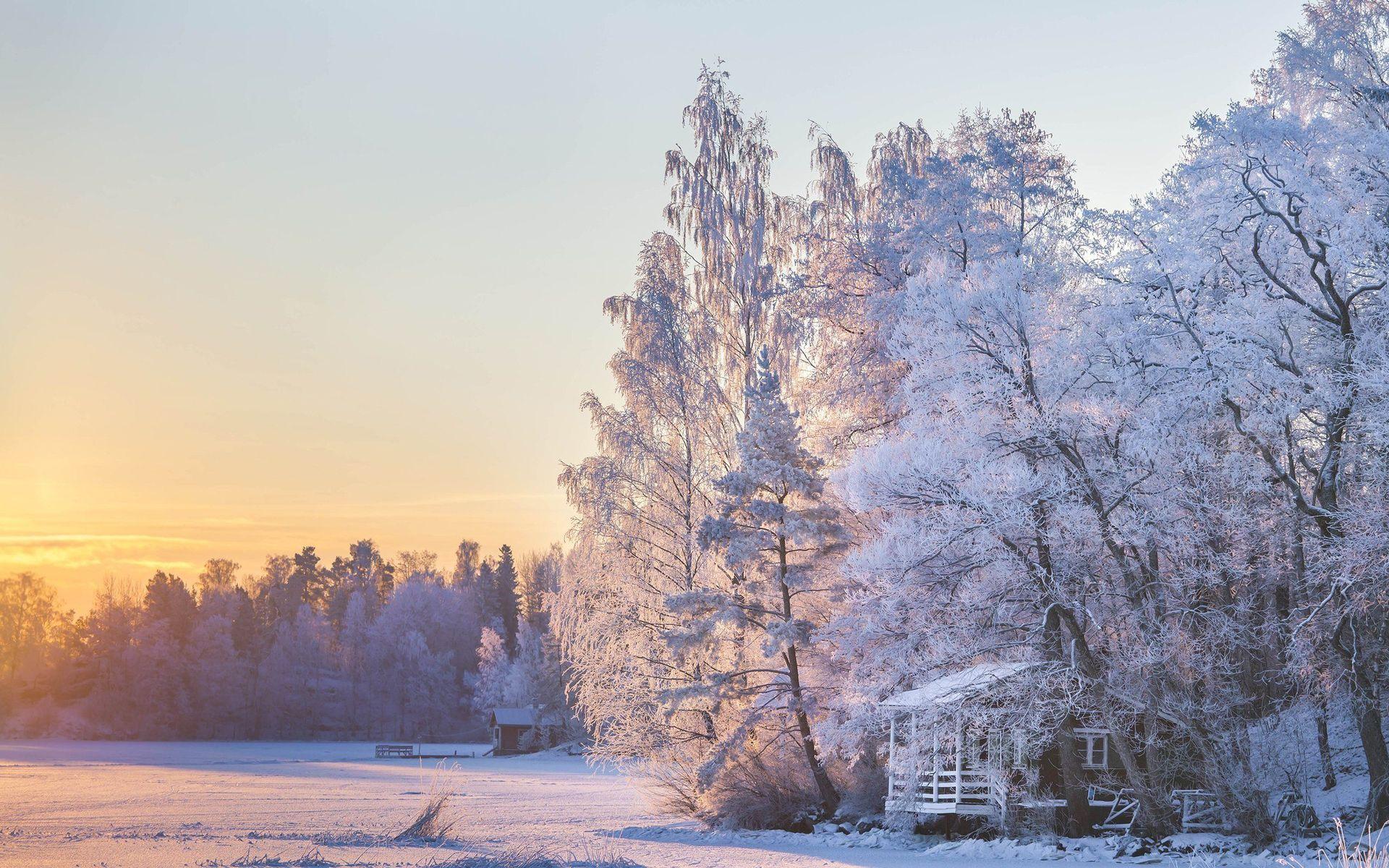 1920x1200 Peaceful Winter