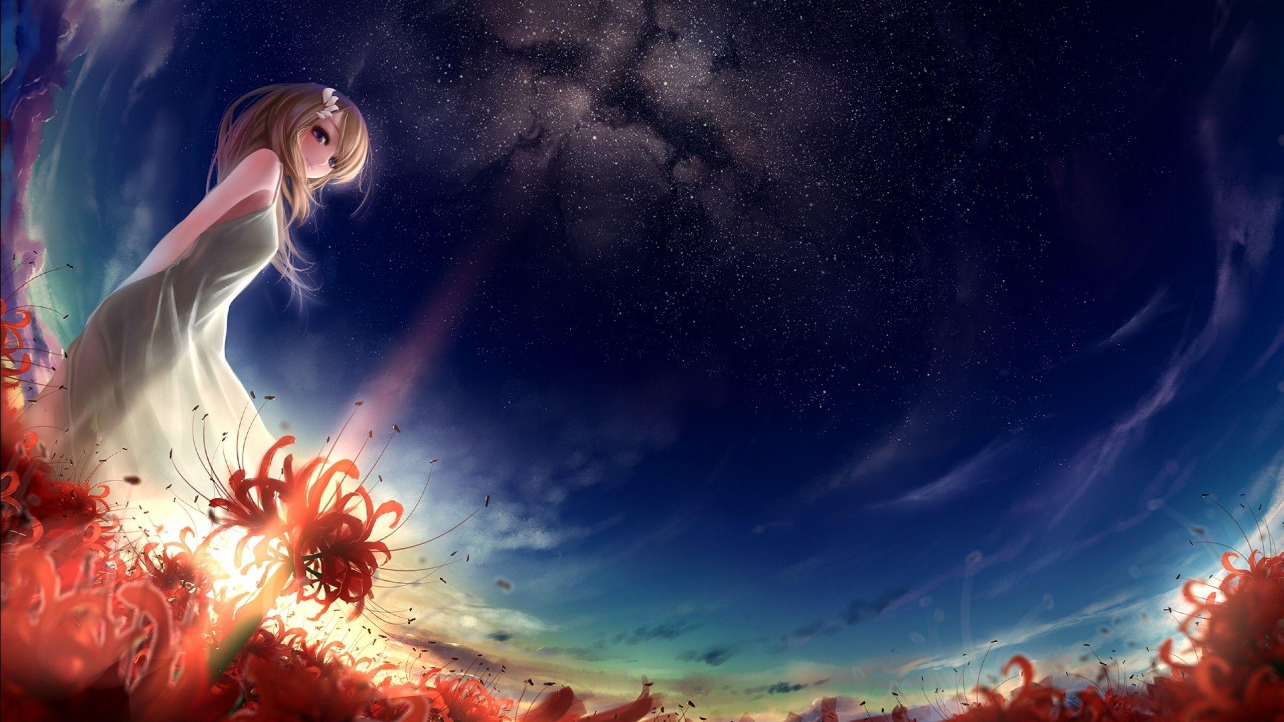 2560x1440 artwork, Fantasy Art, Anime Girls, Field, Sky, Sunlight, Stars Wallpaper HD / Desktop and Mobile Background
