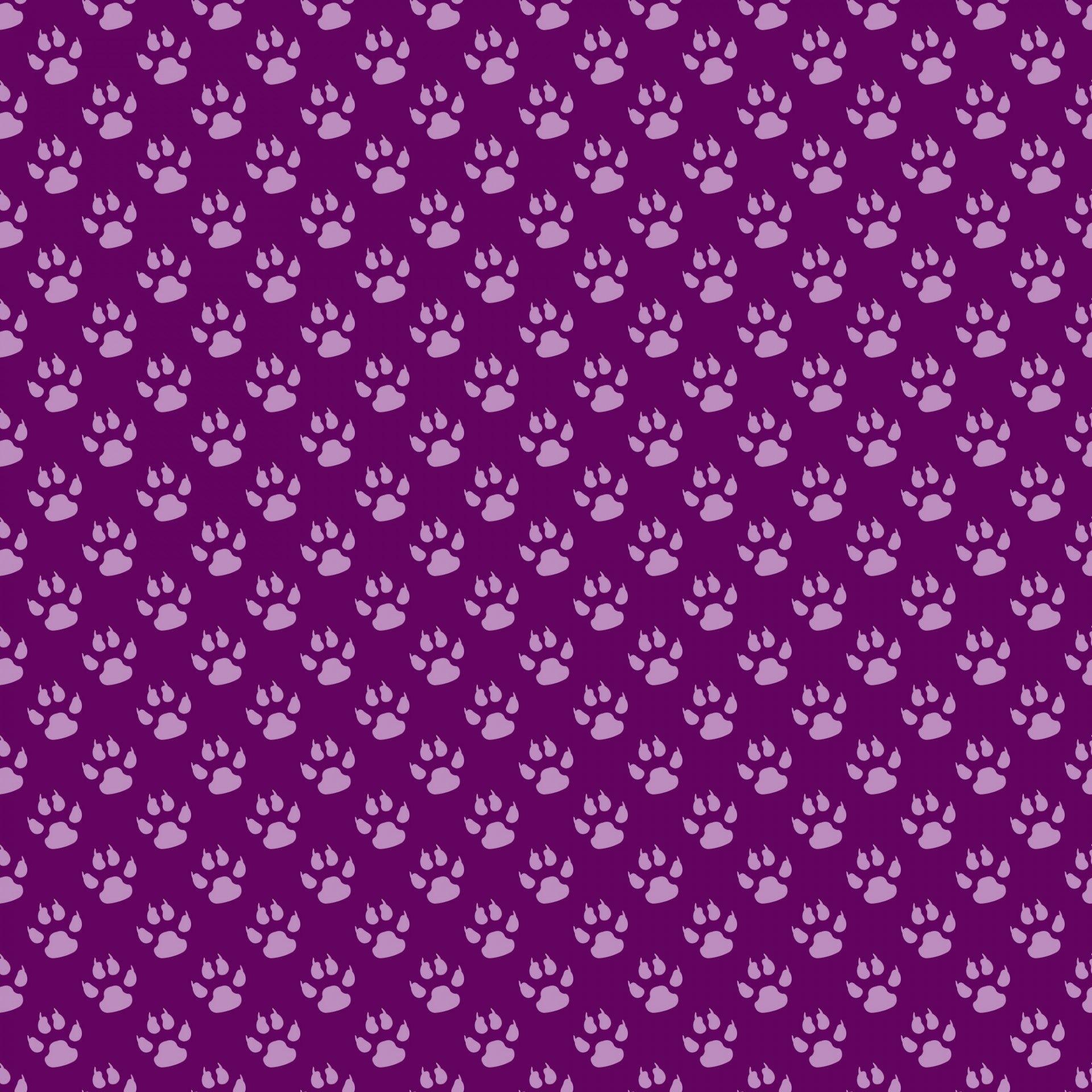 1920x1920 Paw Print Wallpaper