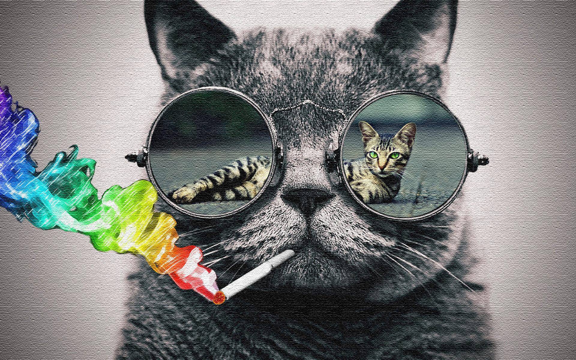 1920x1200 Cat with sunglasses wallpaper (Photoshop) them please