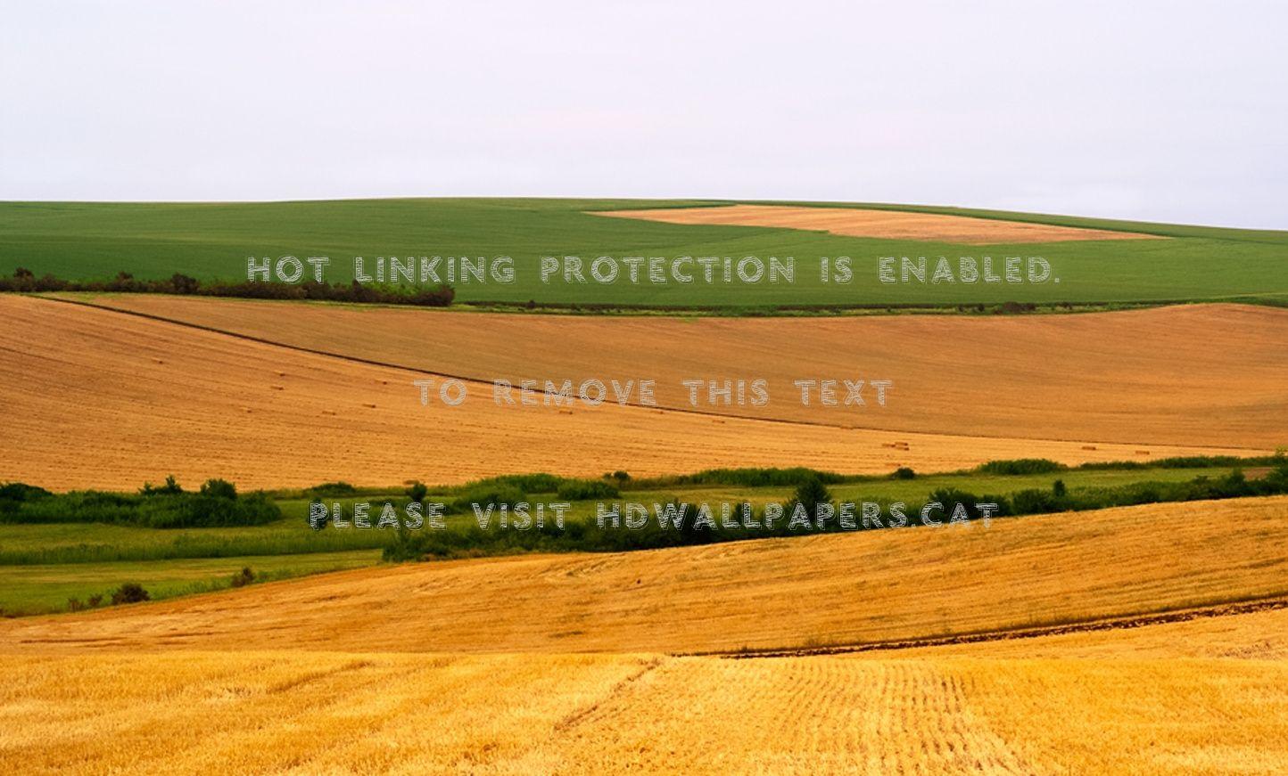 1444x871 wonderful our planet gree fields nature