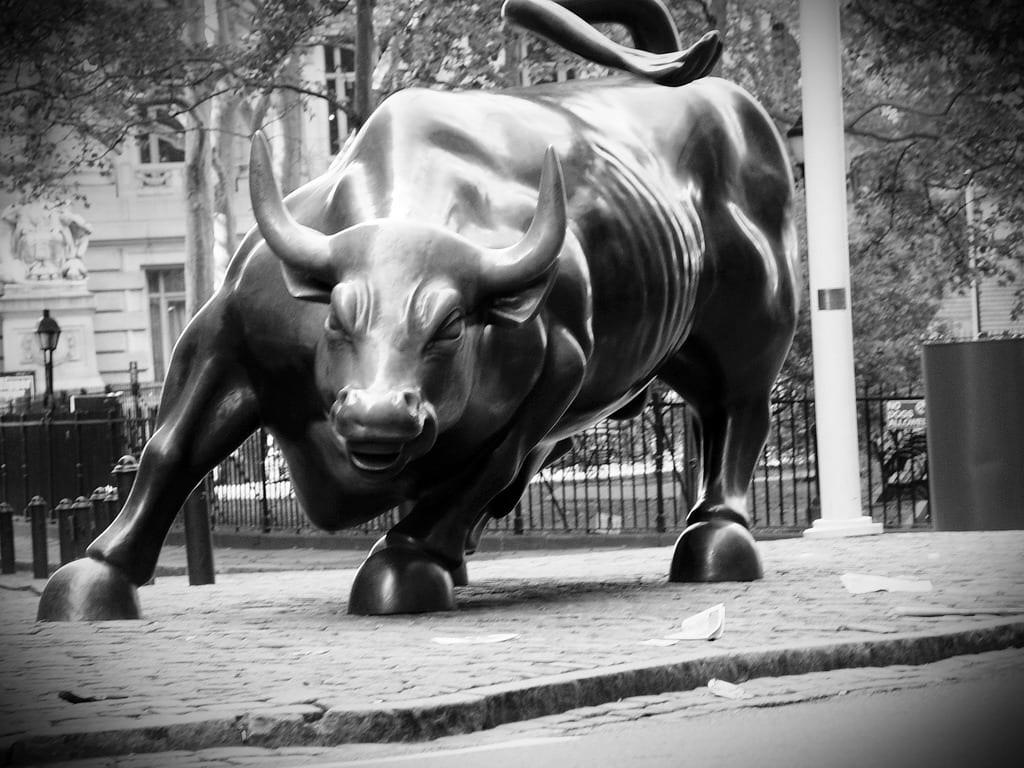 1024x768 Stock Market Bull And Bear: Possible But This Is A Bull