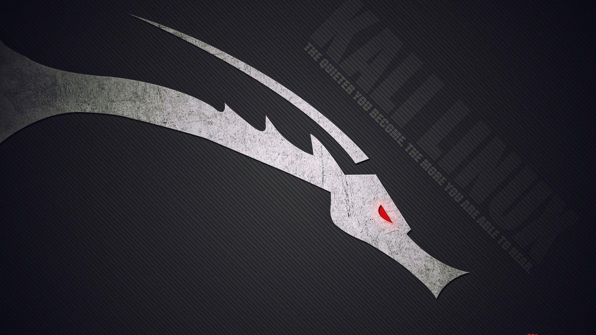 Kali Linux Black Wallpapers Top Free Kali Linux Black Backgrounds Wallpaperaccess