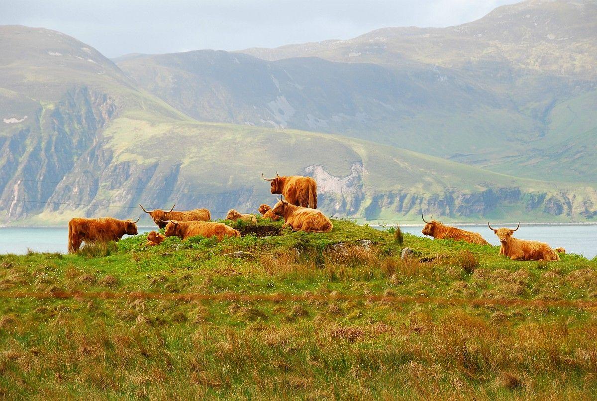 1200x806 Isle of Jura Wallpaper
