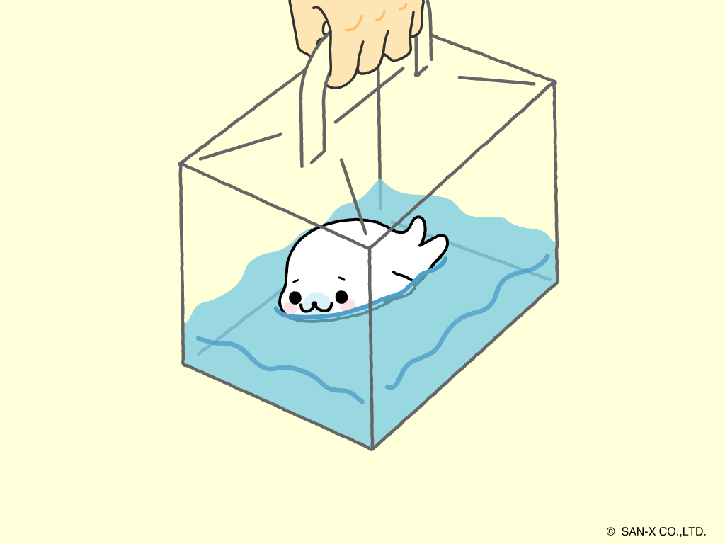 1024x768 Mamegoma. .. seal pets the size of your hand