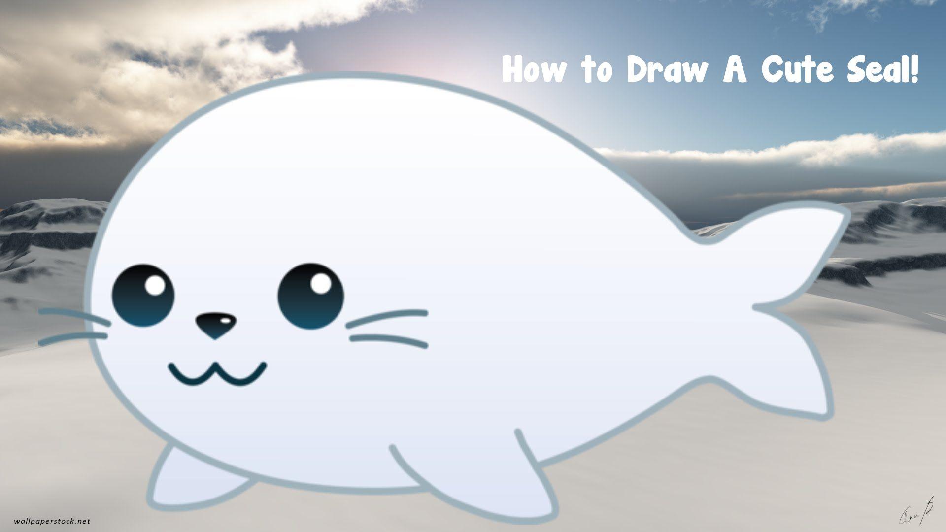 1920x1080 cute seal
