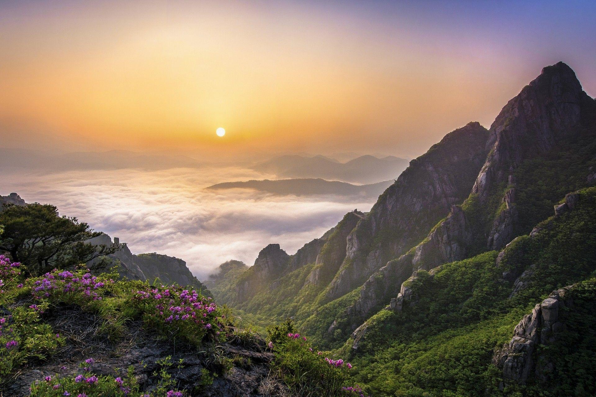 1920x1280 South Korea Wallpaper, Picture, Image