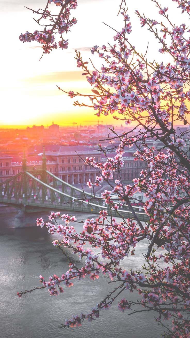 736x1308 Discovering Europe with 17 wanderlust iPhone Wallpaper