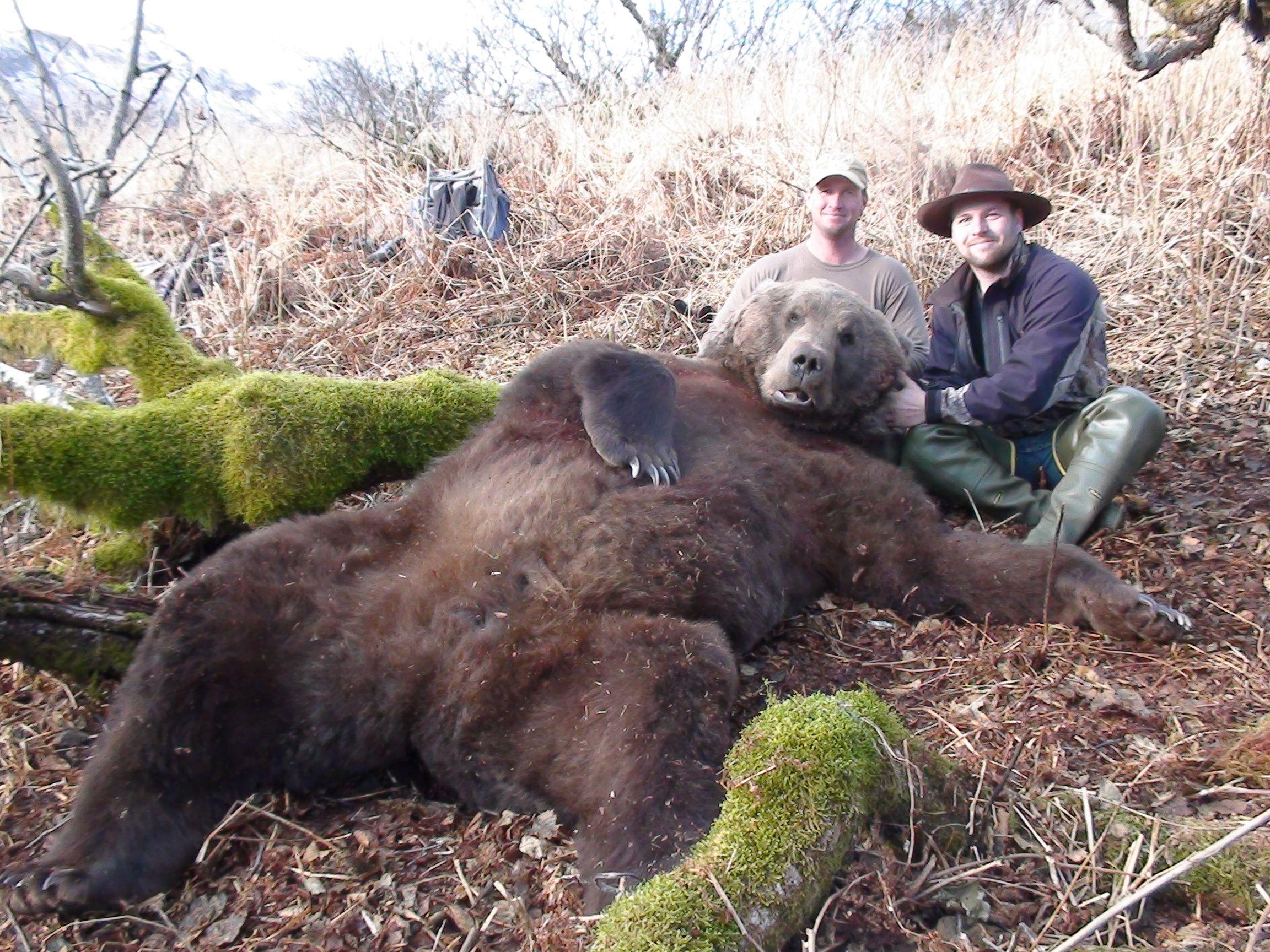 2304x1728 Free download Kodiak bear Desktop Wallpaper animalplanethdcom Kodiak bear [2304x1728] for your Desktop, Mobile & Tablet. Explore Kodiak Bear Wallpaper. Kodiak Bear Wallpaper, Bear Wallpaper, Wallpaper Bear