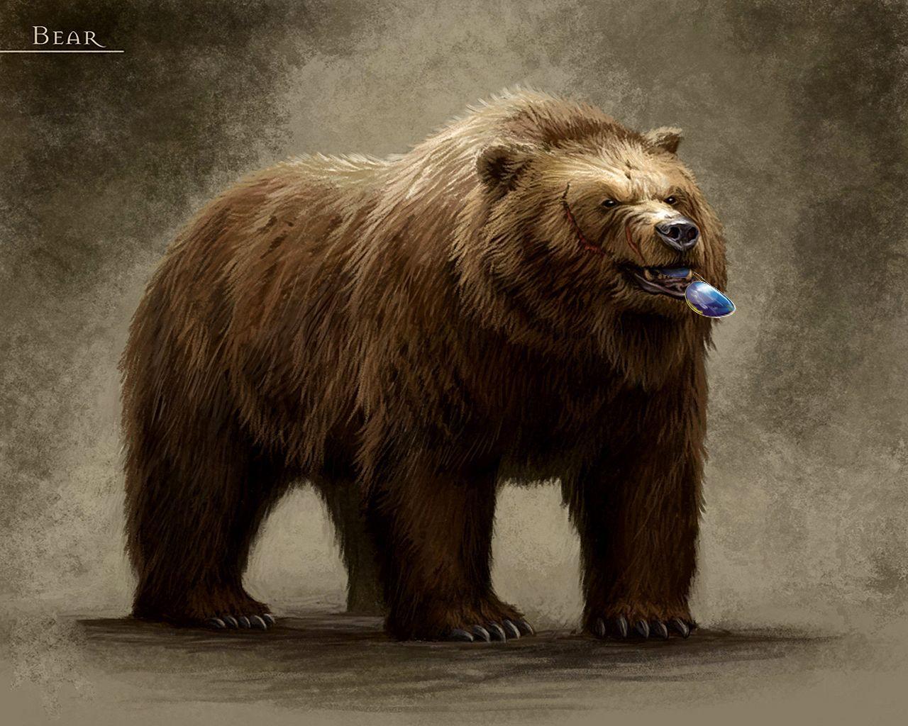Kodiak Bear Wallpapers Top Free Kodiak Bear Backgrounds Wallpaperaccess