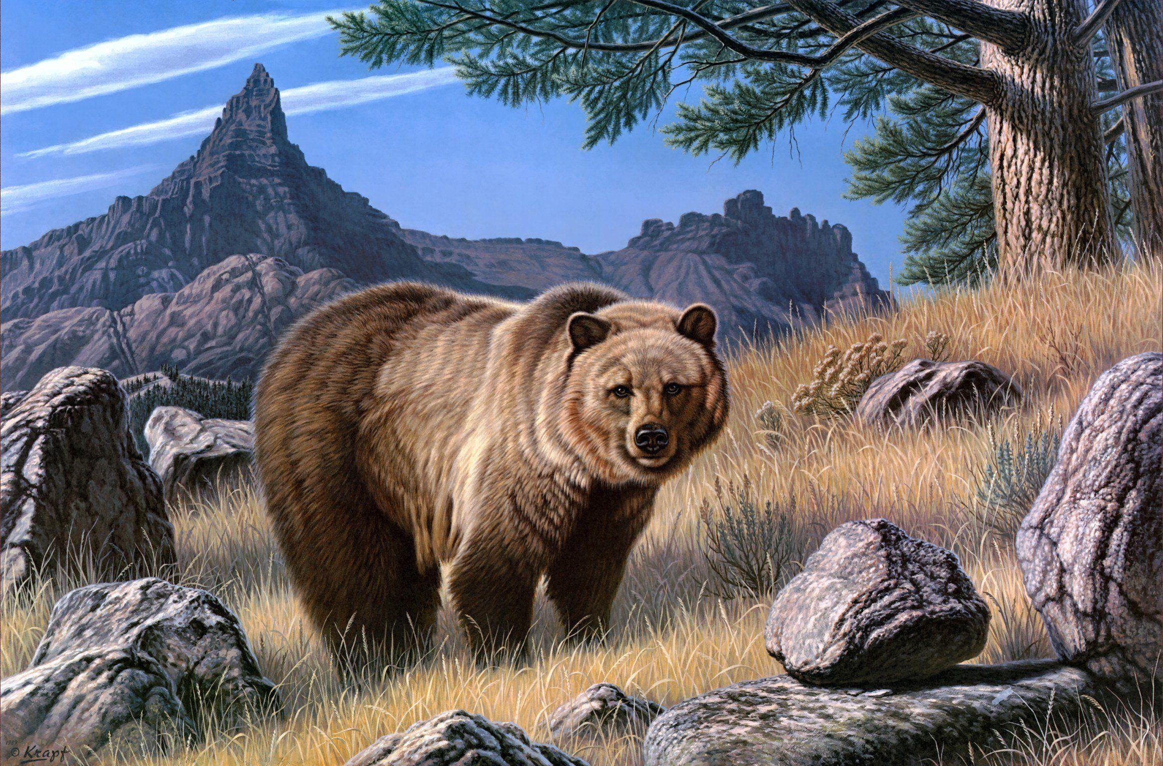 2330x1535 Bears Brown Painting Art Animals bear .
