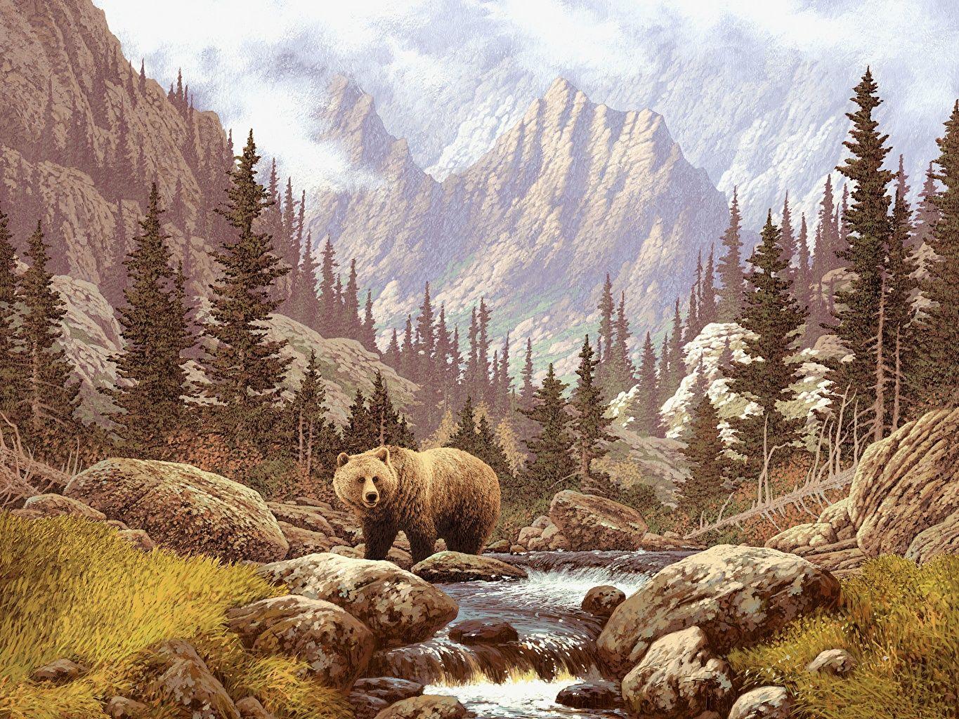 1365x1024 Desktop Wallpaper Brown Bears bear