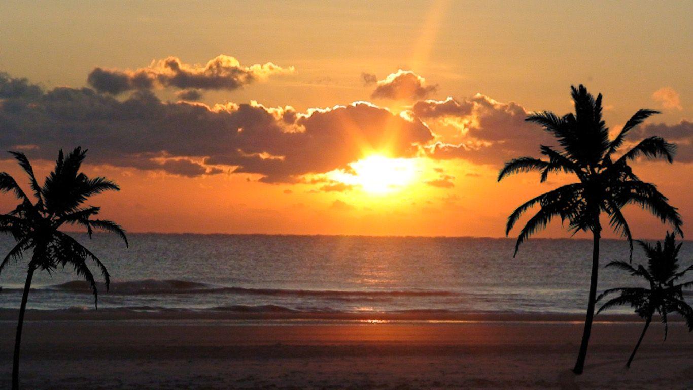 1366x768 Wallpaper Sarasota.