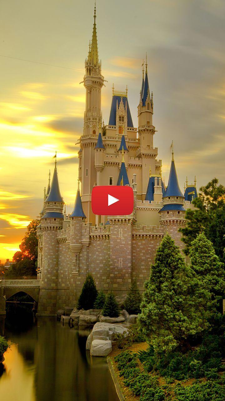720x1282 cinderella castle disney world .com