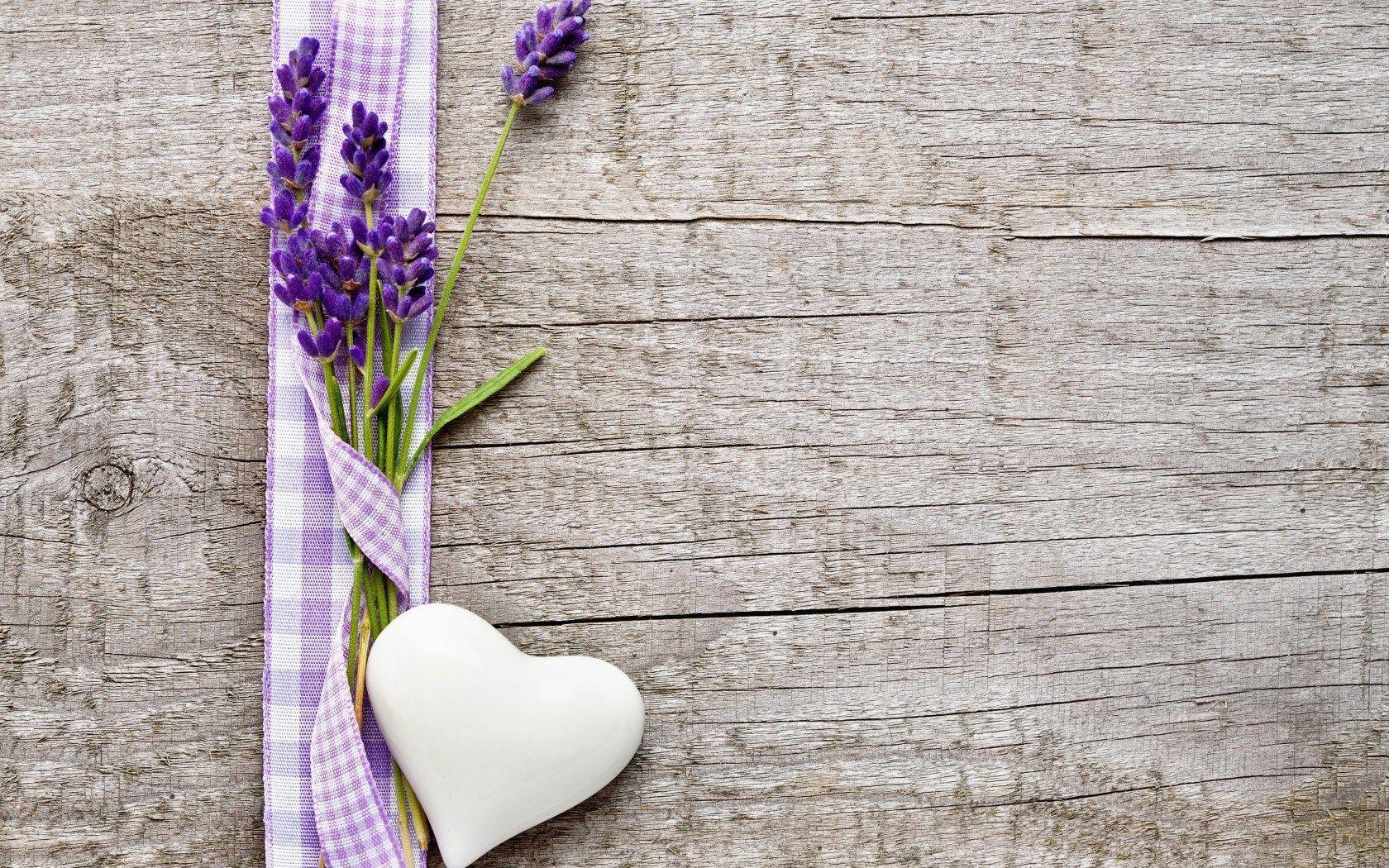 1680x1050 Lavender Wallpaper