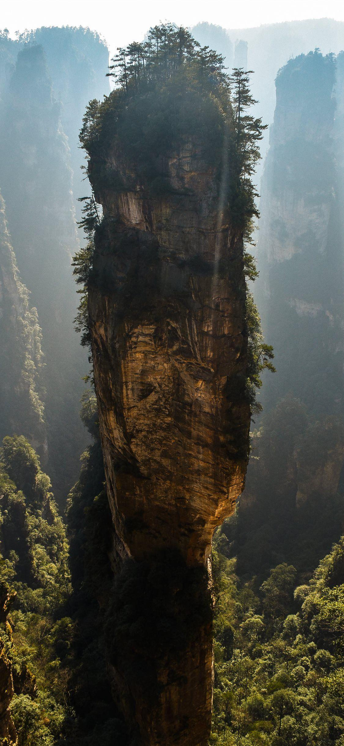 1125x2436 green trees on brown cliff iPhone X Wallpaper Free Download